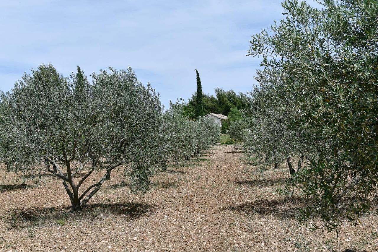 Le Mas Des Genets Saint-Rémy-de-Provence المظهر الخارجي الصورة